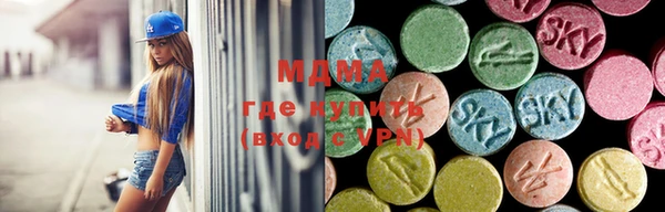 дурь Ельня