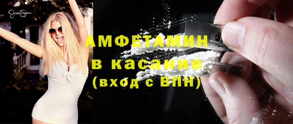 дурь Ельня