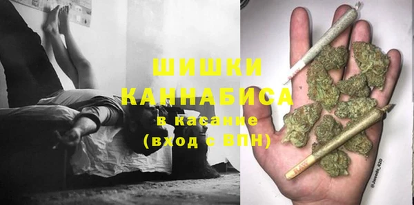 амф Елабуга