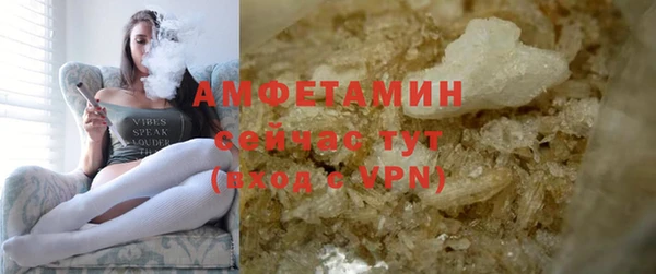 дурь Ельня