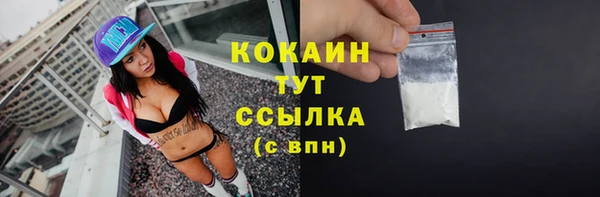 амф Елабуга