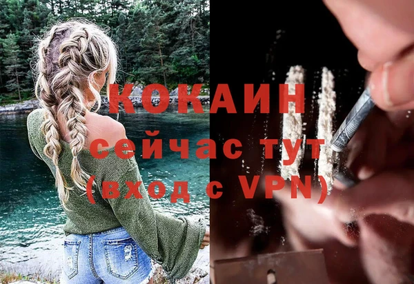 дурь Ельня