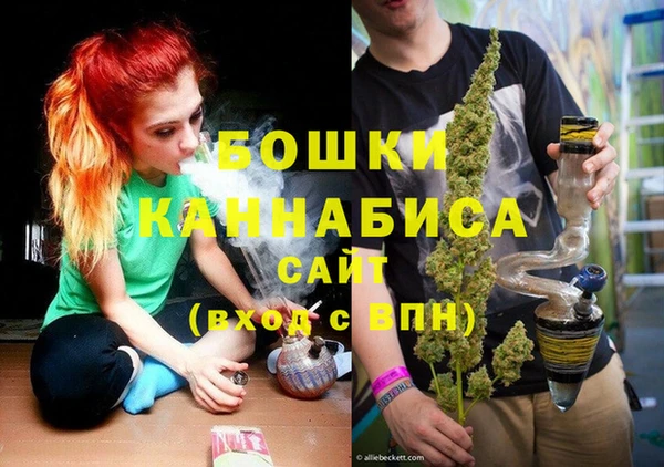 амф Елабуга