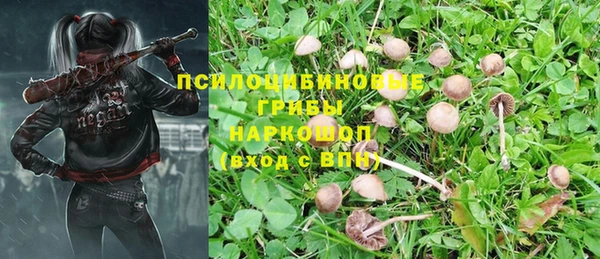 амф Елабуга