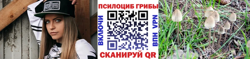 Купить  Лабытнанги  Галлюциногенные грибы Magic Shrooms 